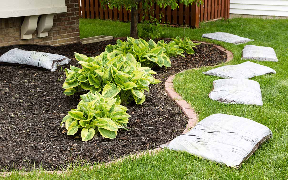 Frontyard landcape with plants and mulch