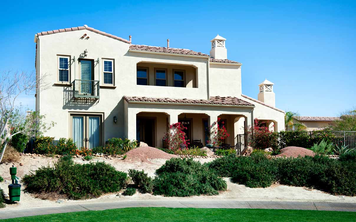 House surrounded by vegetation