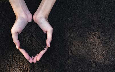 Woman holding humus mulch