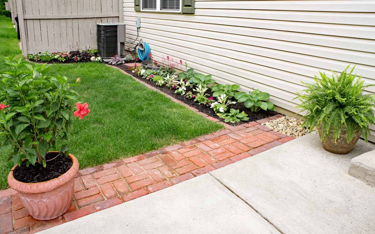 Shrubs and flowers along edge of a house